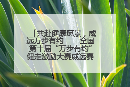 共赴健康愿景，威远万步有约——全国第十届“万步有约”健走激励大赛威远赛区启动仪式