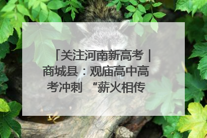 关注河南新高考｜商城县：观庙高中高考冲刺 “薪火相传”助力备考