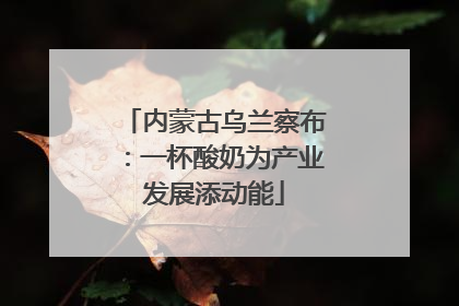 内蒙古乌兰察布：一杯酸奶为产业发展添动能