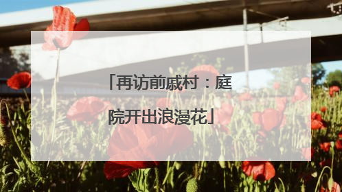 再访前戚村：庭院开出浪漫花