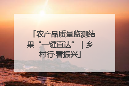 农产品质量监测结果“一键直达”｜乡村行·看振兴