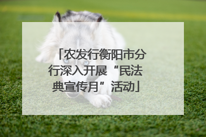 农发行衡阳市分行深入开展“民法典宣传月”活动