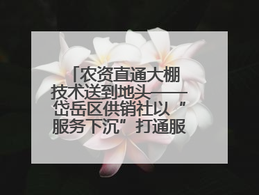 农资直通大棚 技术送到地头——岱岳区供销社以“服务下沉”打通服务“三农”最后一公里
