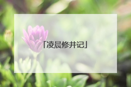凌晨修井记