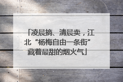 凌晨摘、清晨卖，江北“杨梅自由一条街”藏着最甜的烟火气