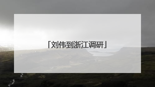 刘伟到浙江调研