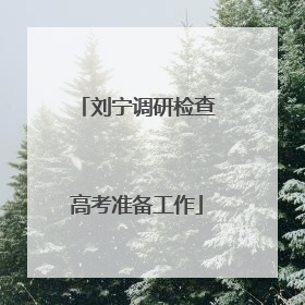 刘宁调研检查高考准备工作