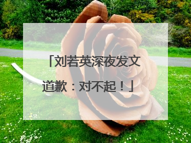 刘若英深夜发文道歉：对不起！