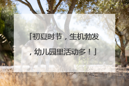 初夏时节，生机勃发，幼儿园里活动多！