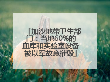 加沙地带卫生部门：当地60%的血库和实验室设备被以军故意摧毁