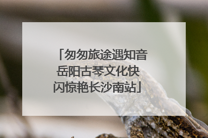 匆匆旅途遇知音 岳阳古琴文化快闪惊艳长沙南站
