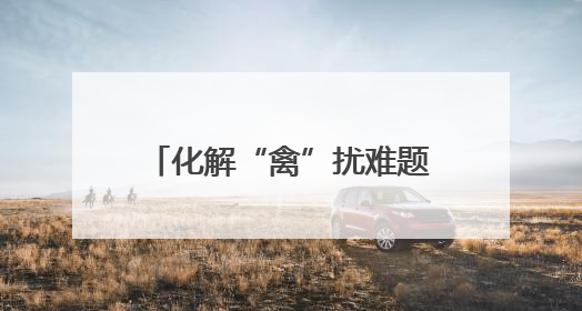 化解“禽”扰难题 崂山执法守护小区和谐宜居环境