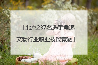 北京237名选手角逐文物行业职业技能竞赛