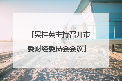 吴桂英主持召开市委财经委员会会议