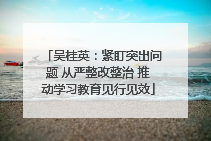 吴桂英：紧盯突出问题 从严整改整治 推动学习教育见行见效