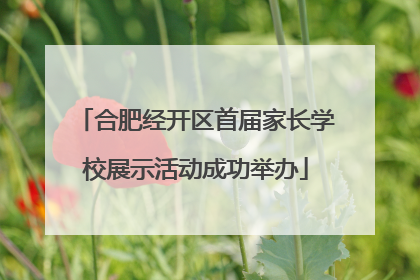 合肥经开区首届家长学校展示活动成功举办