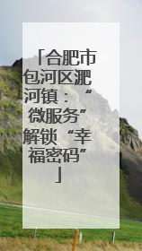 合肥市包河区淝河镇：“微服务”解锁“幸福密码”