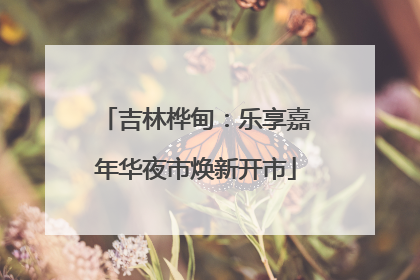 吉林桦甸：乐享嘉年华夜市焕新开市
