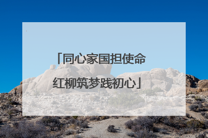 同心家国担使命 红柳筑梦践初心