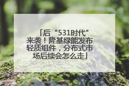 后“531时代”来袭！隆基绿能发布轻质组件，分布式市场后续会怎么走