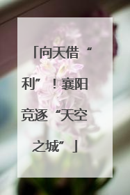 向天借“利”！襄阳竞逐“天空之城”