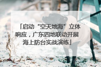 启动“空天地海”立体响应，广东四地联动开展海上防台实战演练