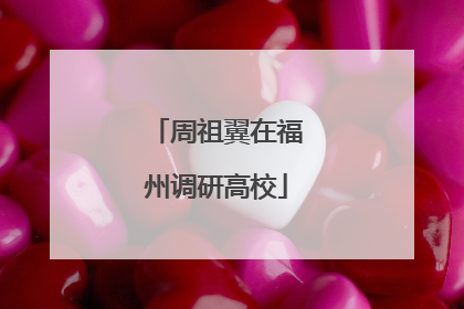 周祖翼在福州调研高校