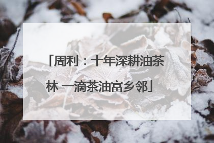 周利：十年深耕油茶林 一滴茶油富乡邻