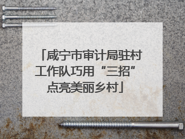 咸宁市审计局驻村工作队巧用“三招”点亮美丽乡村