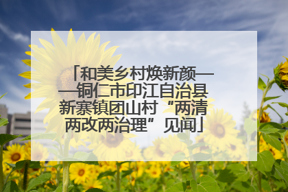 和美乡村焕新颜——铜仁市印江自治县新寨镇团山村“两清两改两治理”见闻