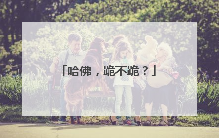 哈佛，跪不跪？