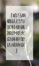 哈马斯确认已与美特使就加沙停火总体框架达成协议