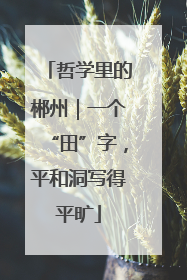 哲学里的郴州｜一个“田”字，平和洞写得平旷