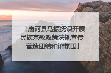 唐河县马振抚镇开展民族宗教政策法规宣传 营造团结和谐氛围