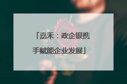 嘉禾：政企银携手赋能企业发展