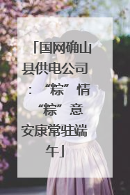国网确山县供电公司：“粽”情“粽”意 安康常驻端午