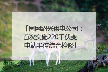 国网绍兴供电公司：首次实施220千伏变电站半停综合检修