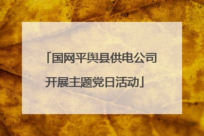国网平舆县供电公司开展主题党日活动