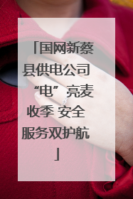国网新蔡县供电公司“电”亮麦收季 安全服务双护航
