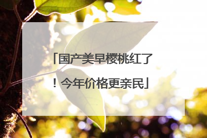 国产美早樱桃红了！今年价格更亲民