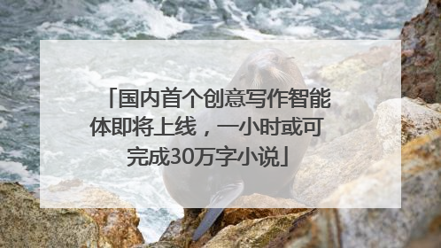 国内首个创意写作智能体即将上线，一小时或可完成30万字小说