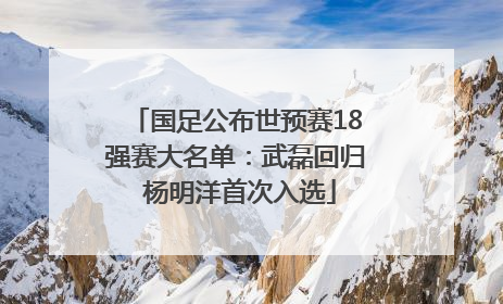 国足公布世预赛18强赛大名单：武磊回归 杨明洋首次入选