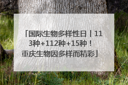 国际生物多样性日丨113种+112种+15种！重庆生物因多样而精彩