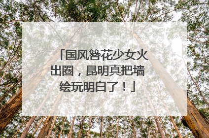 国风簪花少女火出圈，昆明真把墙绘玩明白了！