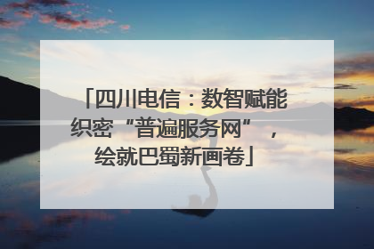 四川电信：数智赋能织密“普遍服务网”，绘就巴蜀新画卷