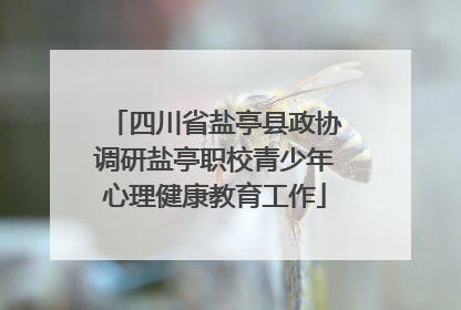 四川省盐亭县政协调研盐亭职校青少年心理健康教育工作