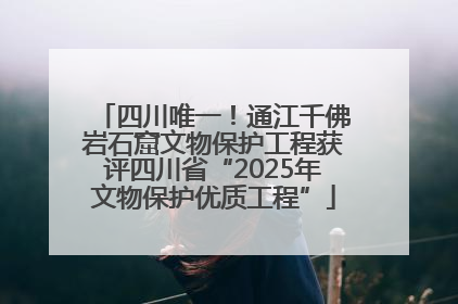 四川唯一！通江千佛岩石窟文物保护工程获评四川省“2025年文物保护优质工程”