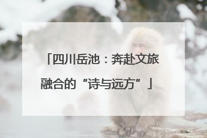 四川岳池：奔赴文旅融合的“诗与远方”