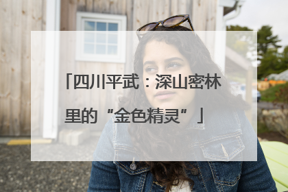 四川平武：深山密林里的“金色精灵”