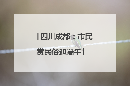 四川成都：市民赏民俗迎端午